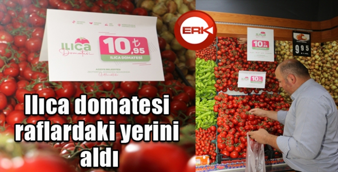 Ilıca domatesi raflardaki yerini aldı