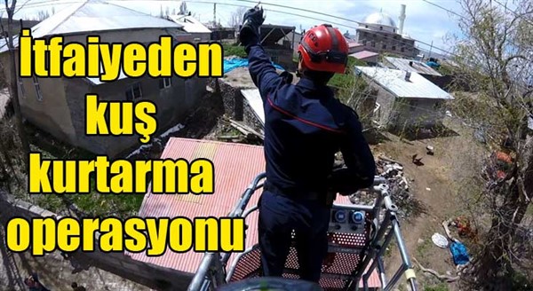 İtfaiyeden kuş kurtarma operasyonu