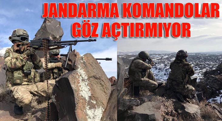 Jandarma komandolardan yurt içi operasyon 