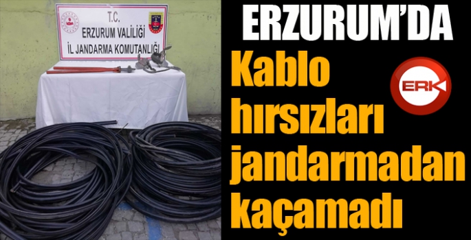 Kablo hırsızları jandarmadan kaçamadı