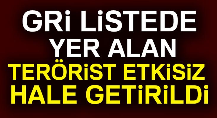 Kağızman’da öldürülen 6 teröristten biri gri listedeki Felat kod adlı Behçet Arvas çıktı