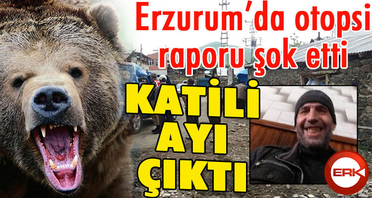 Katili ayı çıktı!