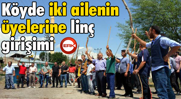 Köyde iki ailenin üyelerine linç girişimi