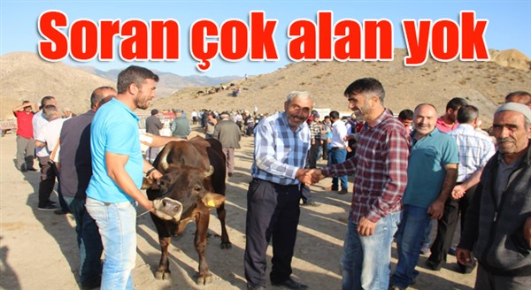 Kurbanlıkları soran çok alan yok