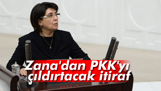 Leyla Zana, Valiye 'PKK’yı 20 devlet kullanıyor' demiş