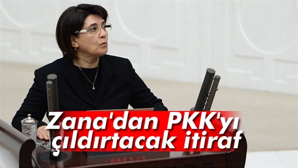 Leyla Zana, Valiye 'PKK’yı 20 devlet kullanıyor' demiş