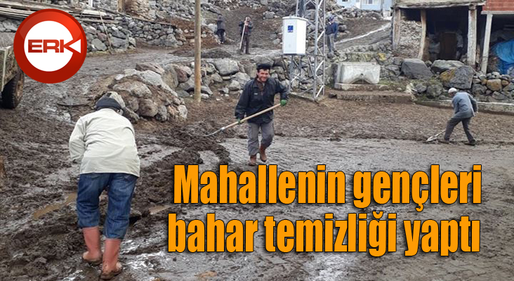 Mahallenin gençleri bahar temizliği yaptı