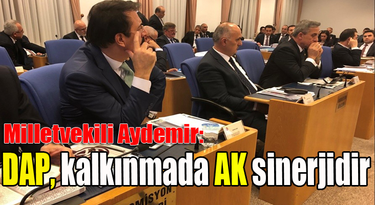 Milletvekili Aydemir: ‘DAP, Kalkınmada AK sinerjidir’ 