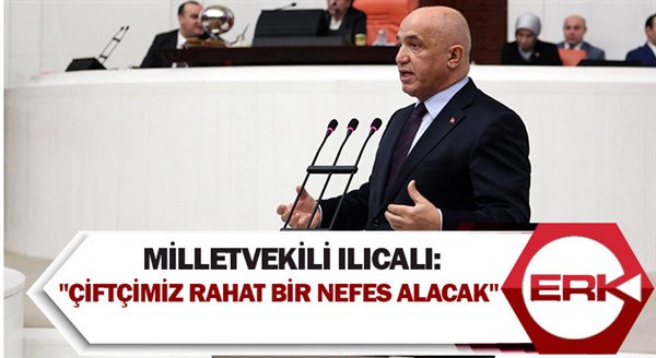 Milletvekili Ilıcalı: 