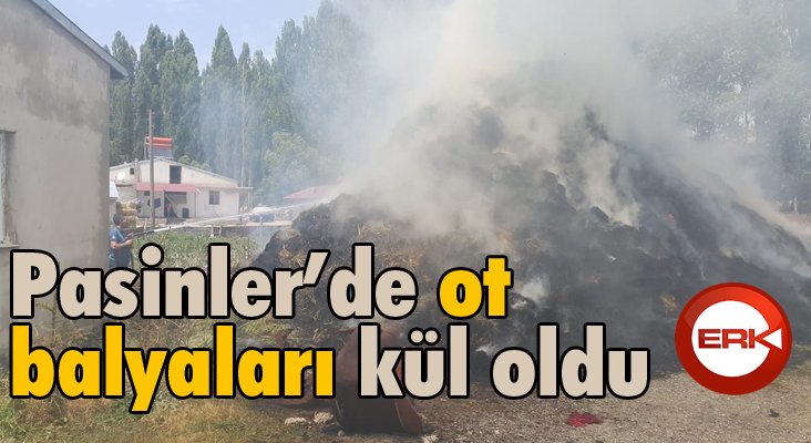 Pasinler’de ot balyaları kül oldu