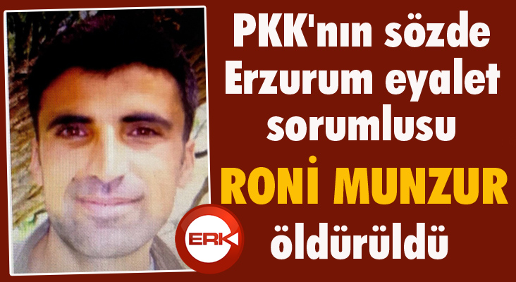 PKK'nın 'Panzer Kemal'in yerine geçirdiği o terörist de öldürüldü