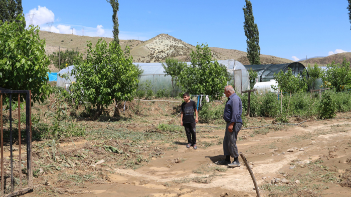 Sel suları sera ve ekili alanlara zarar verdi