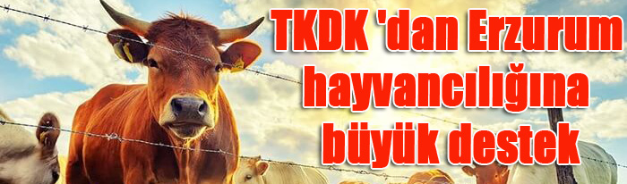 TKDK 'dan Erzurum hayvancılığına büyük destek