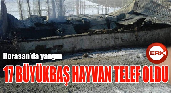 Yanan ahırda 17 büyükbaş hayvan telef oldu