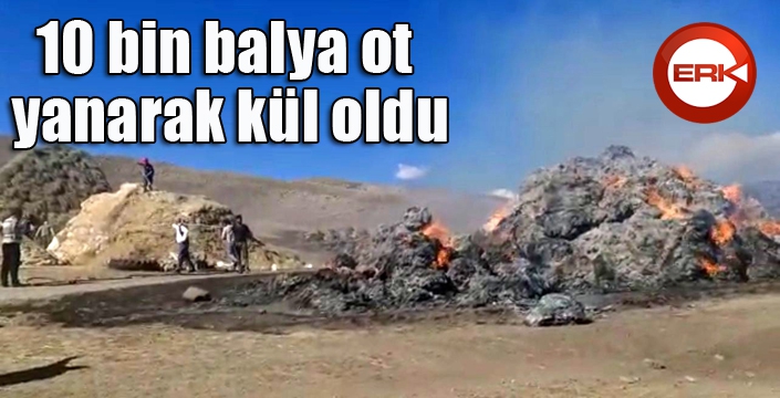 10 bin balya ot yanarak kül oldu