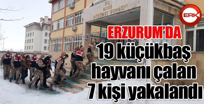 19 küçükbaş hayvanı çalan 7 kişi yakalandı