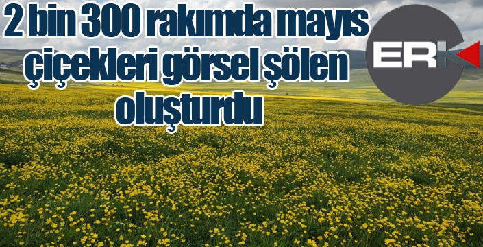 2 bin 300 rakımda mayıs çiçekleri görsel şölen oluşturdu