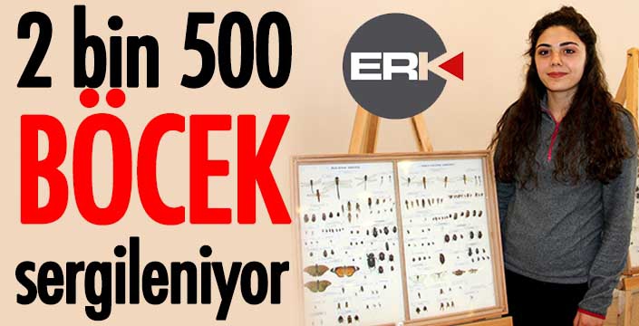 2 bin 500 böcek sergileniyor... 