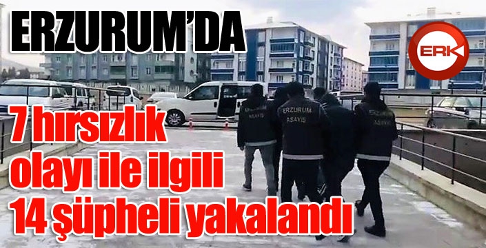 7 hırsızlık olayı ile ilgili 14 şüpheli yakalandı