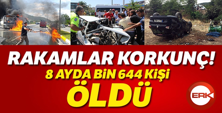 8 ayda yollarda 271 bin trafik kazası yaşandı, bin 644 kişi öldü