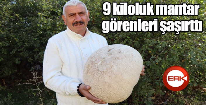 9 kiloluk mantar görenleri şaşırttı