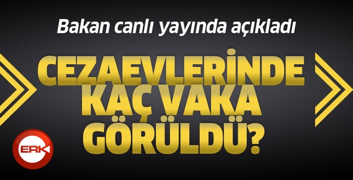 Adalet Bakanı Gül'den önemli açıklamalar!