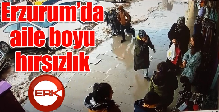 Aile boyu hırsızlık kamerada