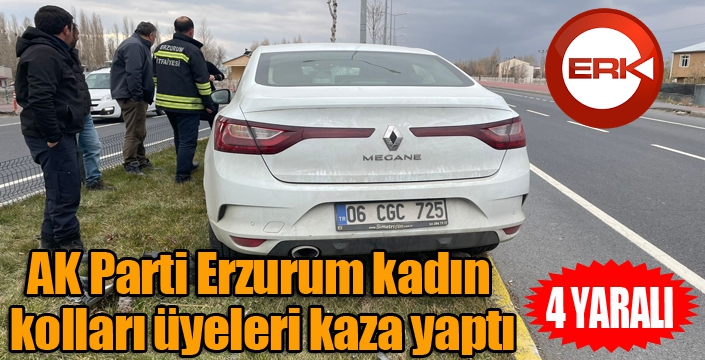 AK Parti Erzurum kadın kolları üyeleri kaza yaptı