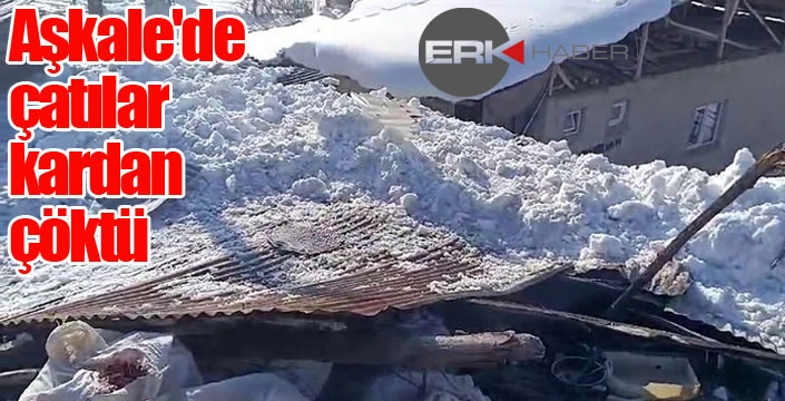 Aşkale'de çatılar kardan çöktü