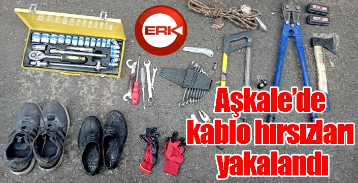 Aşkale’de kablo hırsızları yakalandı