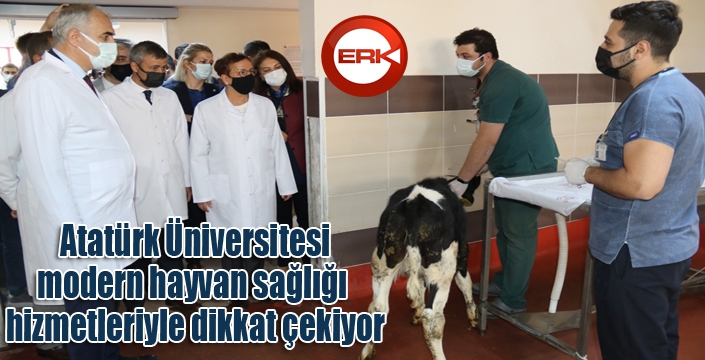 Atatürk Üniversitesi, modern hayvan sağlığı hizmetleriyle dikkat çekiyor