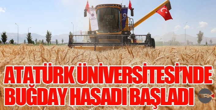 ATATÜRK ÜNİVERSİTESİNDE BUĞDAY HASADI BAŞLADI