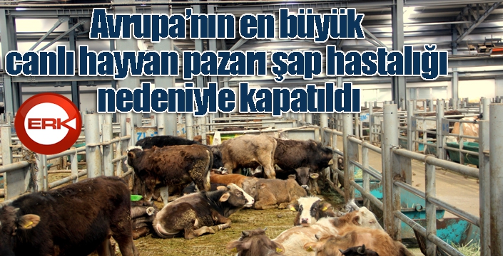Avrupa’nın en büyük canlı hayvan pazarı şap hastalığı nedeniyle kapatıldı