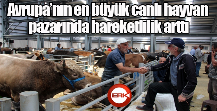 Avrupa’nın en büyük canlı hayvan pazarında hareketlilik arttı