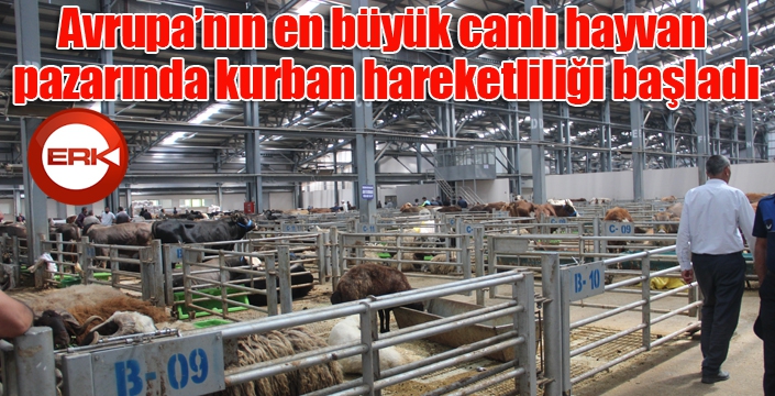 Avrupa’nın en büyük canlı hayvan pazarında kurban hareketliliği başladı