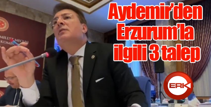 Aydemir’den Erzurum’la ilgili 3 talep