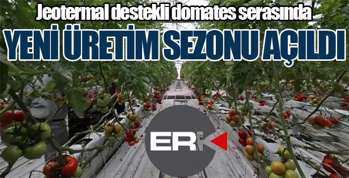 Aziziye Belediyesi domates serasında üretim sezonu açıldı...
