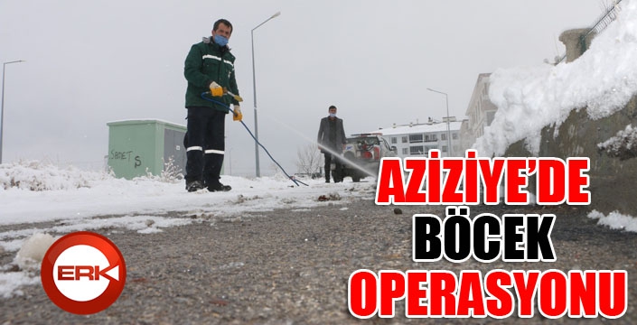 Aziziye'de BÖCEK operasyonu...