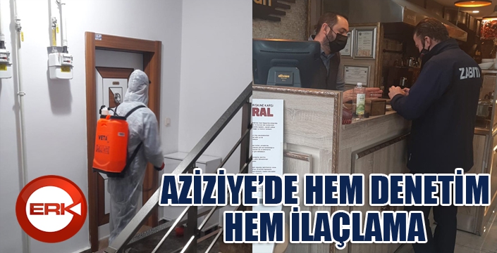 Aziziye’de denetim ve ilaçlama bir arada