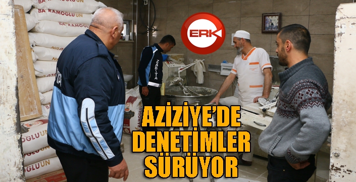 Aziziye’de denetimler doludizgin