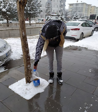 Aziziyeli gençler sokak hayvanlarını unutmadı