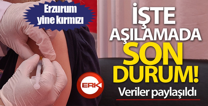 Bakan Koca aşılamada son durumu açıkladı!