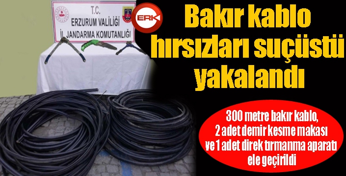 Bakır kablo hırsızları suçüstü yakalandı