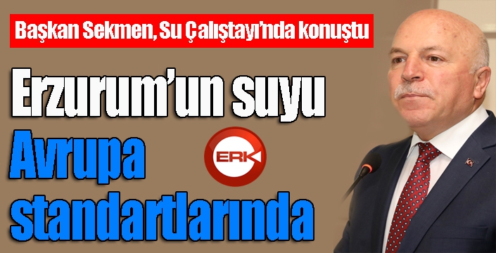 Başkan Sekmen, Su Çalıştayı’nda konuştu