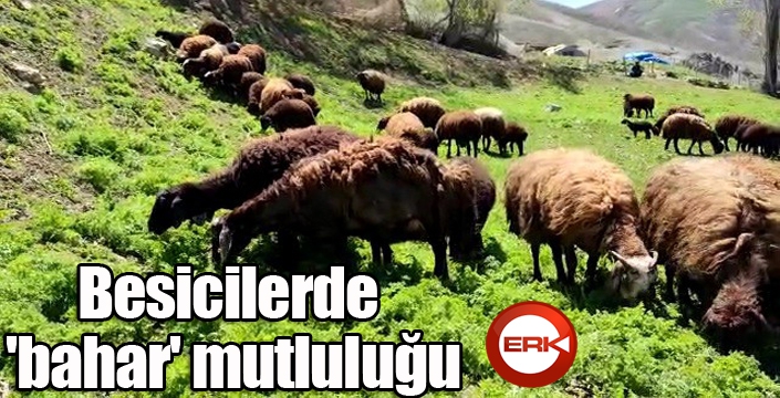 Besicilerde 'bahar' mutluluğu