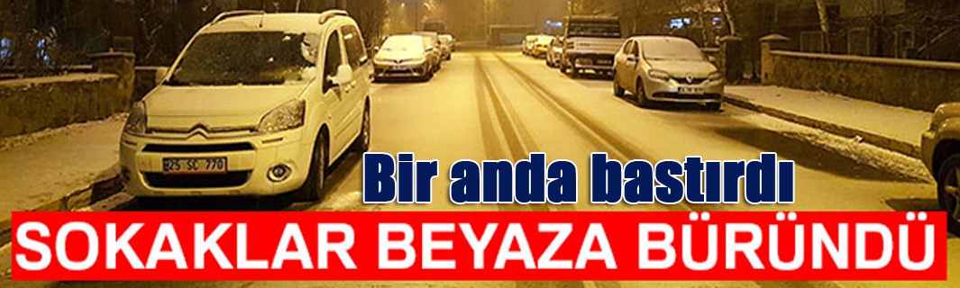 Bir anda bastırdı... Sokaklar beyaza büründü...