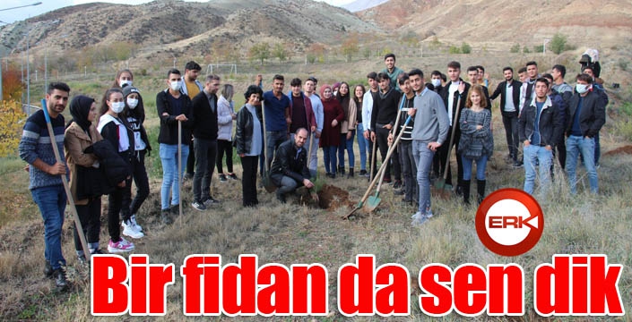 Bir fidan da sen dik