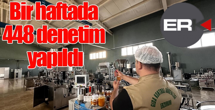 Bir haftada 448 denetim yapıldı