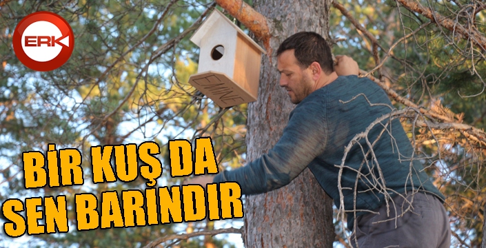 Bir kuş da sen barındır...