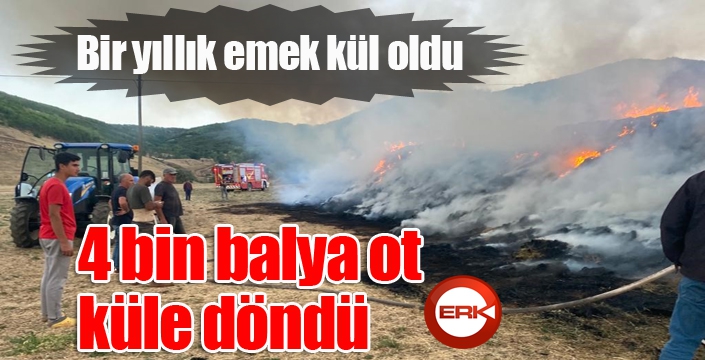 Bir yıllık emek kül oldu